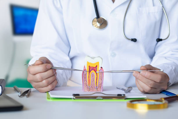 Best Emergency Dental Services for Seniors in Moorhead, MS